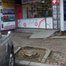 가로수약국 이미지