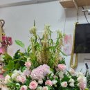 노블5 산후조리원 이미지