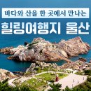 바다와산