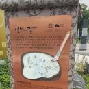 박진 효자비 이미지