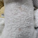 서정동물병원 이미지