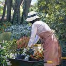 티파니공인중개사사무소 이미지