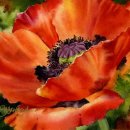 컬러풀 수채화 이미지