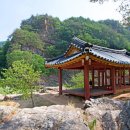 정선군 종합관광안내소 이미지