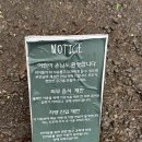 감성제주 - 제주시 동문로4길 9 | 서귀포 맛집 디저트 감성카페 모노클제주 후기 - 단호박케이크