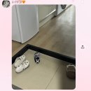 빨간풍차제과점 | HBD to me!🎂