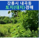 내곡동443 이미지