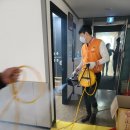 태비(태권도장) 이미지