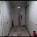 소로3-295 네이버블로그