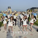 포켓걸스 카카오 검색결과