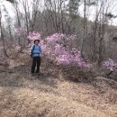 당산2리 이미지