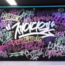 제이디 피티샵 이미지