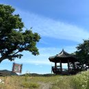 왔다할매국밥 - 성주군 운용로 1016 | 왔다할매국밥