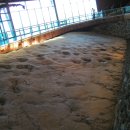 공룡화석지 이미지