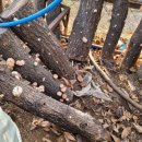 도고농장 이미지