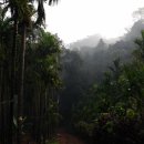 우림농장 이미지