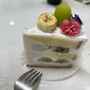 [일상] 꽃은 그냥 생각나서 사 왔어~ _ Ver. 망고 튤립🌷