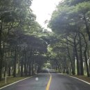 더시에나CC 이미지