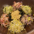 이석가마솥추어탕 이미지