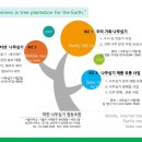 착한나무 이미지