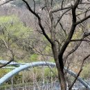 산 - 태백시 황지연못길 19 | 서울 서북4산 등반 후기(260411)
