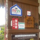 자연과사람 이미지