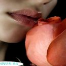 장미무도장 이미지