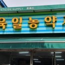 제일종묘사 이미지