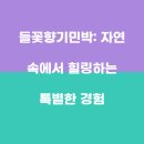 들꽃향기민박 이미지