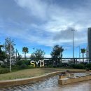 초이스퀸 | 동물원 | 메리톤 스위트 서섹스 스트리트 숙박 후기 | 퀸빅토리아 빌딩 | 시드니 호텔 추천 | 시드니...