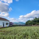 삼양다목적체육관 이미지