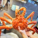 (주)유림수산유통 | 킹크랩 판매 1위 수산파크! 딱 2일간 특가 공급! 시세 폭등 전 마지막 기회