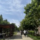 서강대학교 노동조합 | [마포/대흥역] 경의선숲길 근처 느좋 카공 카페 ‘비로소커피’ 재방문 후기 (내돈내산)