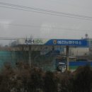 아포농협주유소 이미지