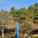 장군석 | [제주 겨울 여행] 제주 서귀포 바다에 우뚝 솟아 있는 바위 외돌개 다녀온 후기.