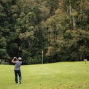 주식회사더골프 이미지