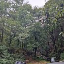 싱글벙글캠핑장 | 용인 싱글벙글캠핑장 - 딱히 명당 없는 D사이트 후기