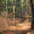 냉천골약수터 이미지