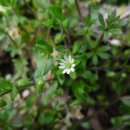 백양산 나들숲길 이미지