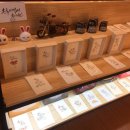 심심푸리 북만화카페