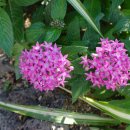 서울영양 이미지