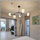 피츠로이가든 이미지