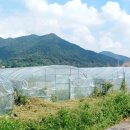 동진부동산중개사무소 이미지