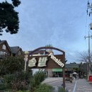 솔밭 | 태안 만리포해수욕장 가성비 좋은 솔밭펜션 내돈내산 솔직후기