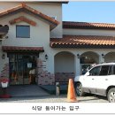 그루터기 이미지