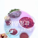 청양쭈꾸미 이미지