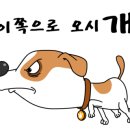 더 편하개 이미지