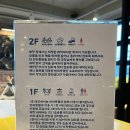 누와나요 | [파주/야당역 카페] 누와나요 | 강아지 놀이터가 있는 철길 뷰 애견동반카페 (내돈내산 후기)
