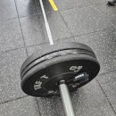 크로스핏 팬텀 이미지