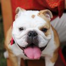 알콩달콩 이미지